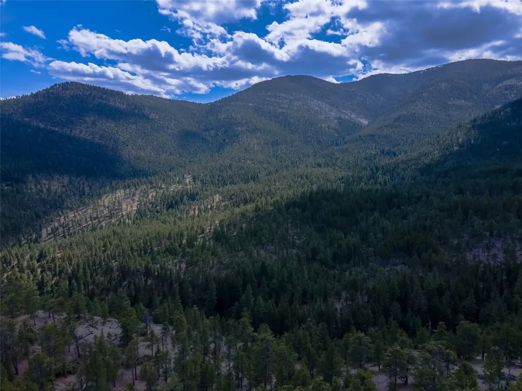 1300 Rogers Creek Road Wolf Creek MT 59648