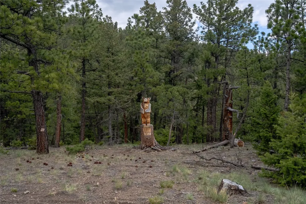 1300 Rogers Creek Road Wolf Creek MT 59648