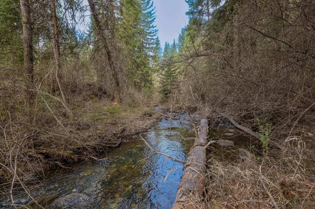 Nhn Warland Creek Road Libby MT 59923