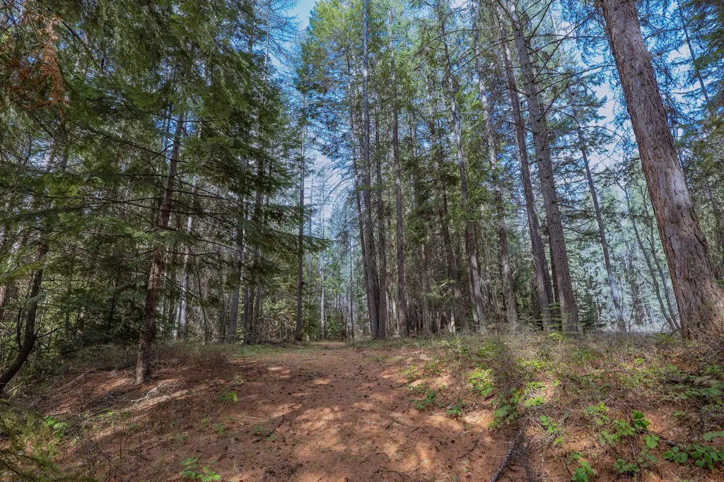 Nhn Warland Creek Road Libby MT 59923