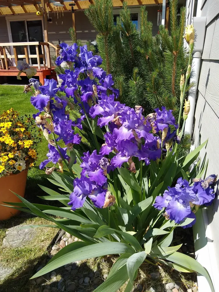 516 Circle F Trail Bozeman MT 59718