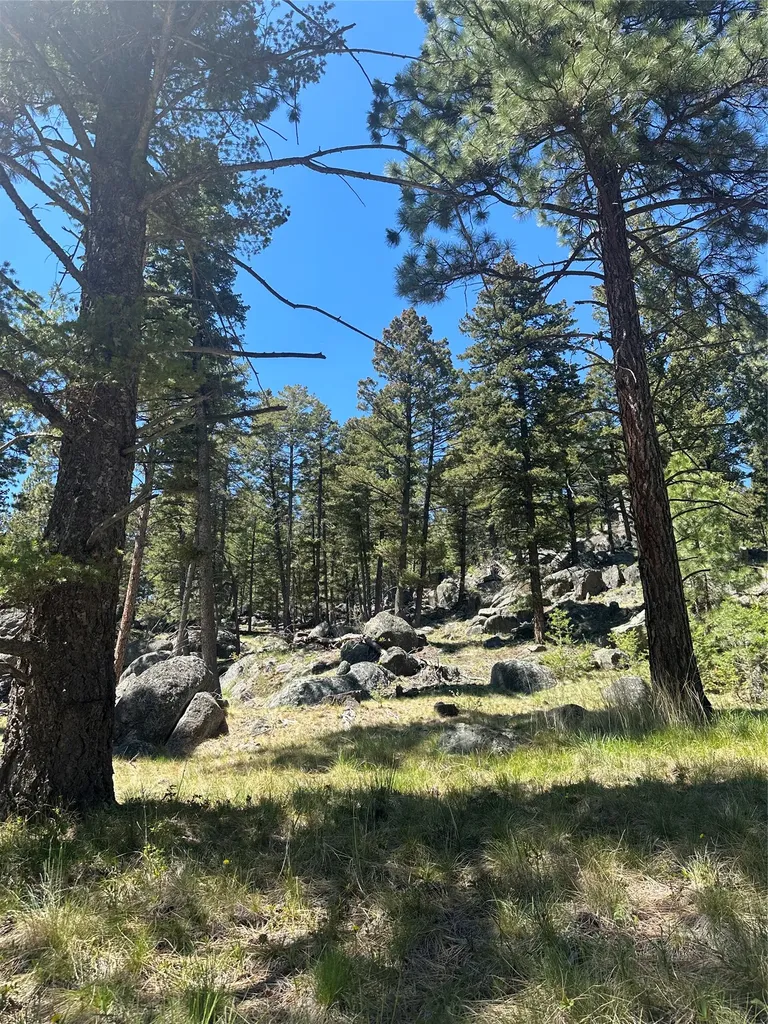 18 Eagle View Drive Clancy MT 59634