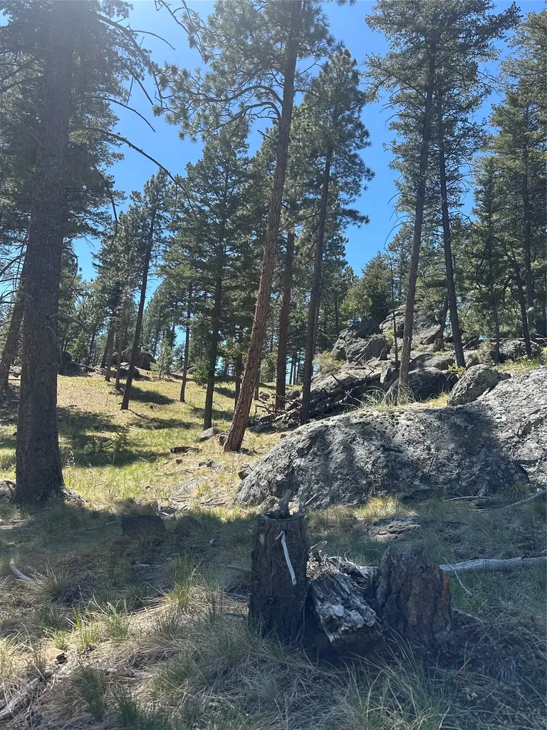 18 Eagle View Drive Clancy MT 59634