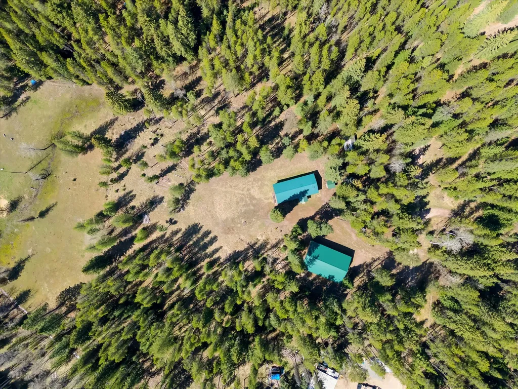 285 Trapper Drive Condon MT 59826