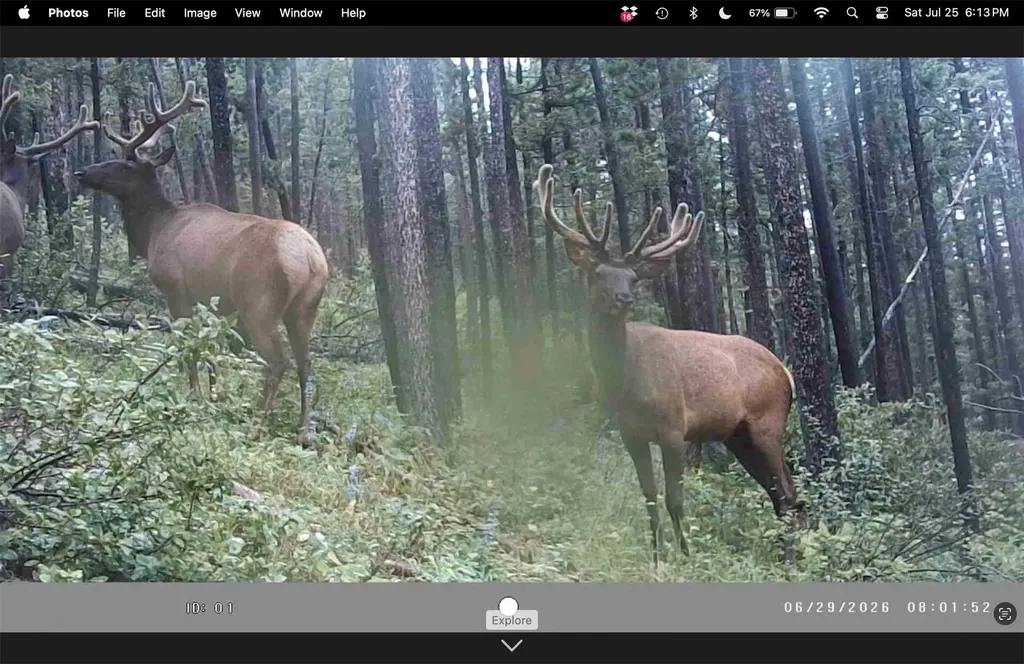 6970 Empire Creek Road Canyon Creek MT 59633