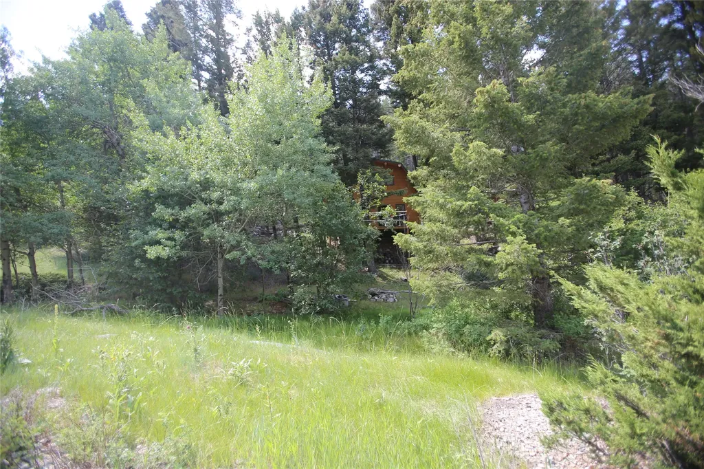 6970 Empire Creek Road Canyon Creek MT 59633