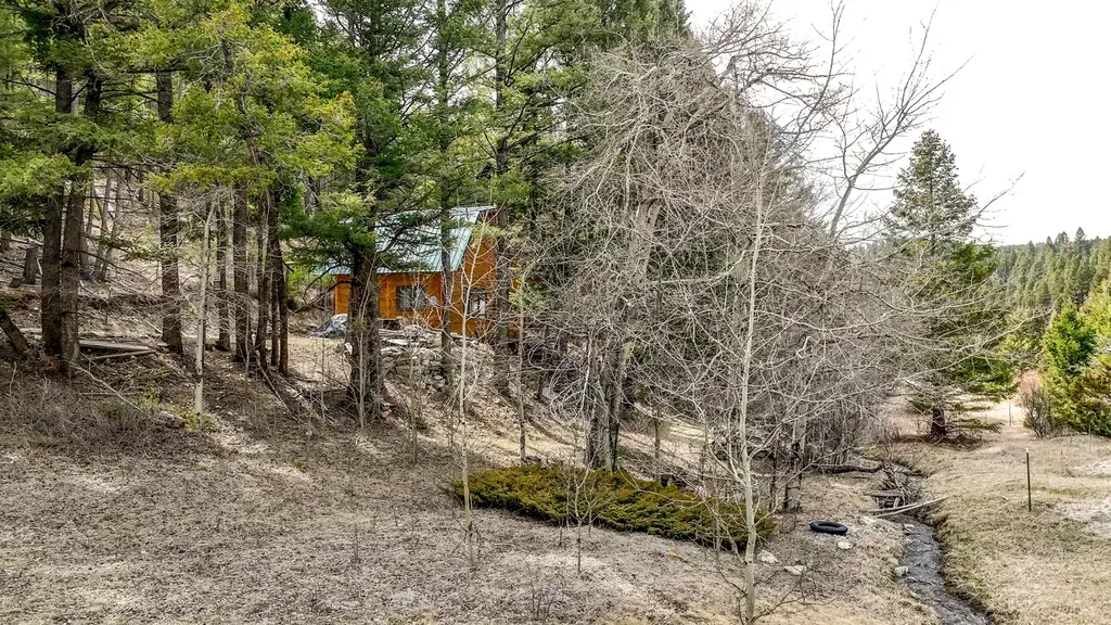 6970 Empire Creek Road Canyon Creek MT 59633