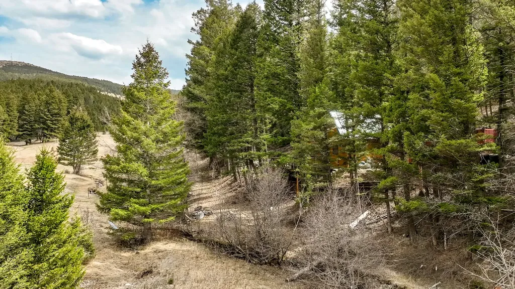 6970 Empire Creek Road Canyon Creek MT 59633