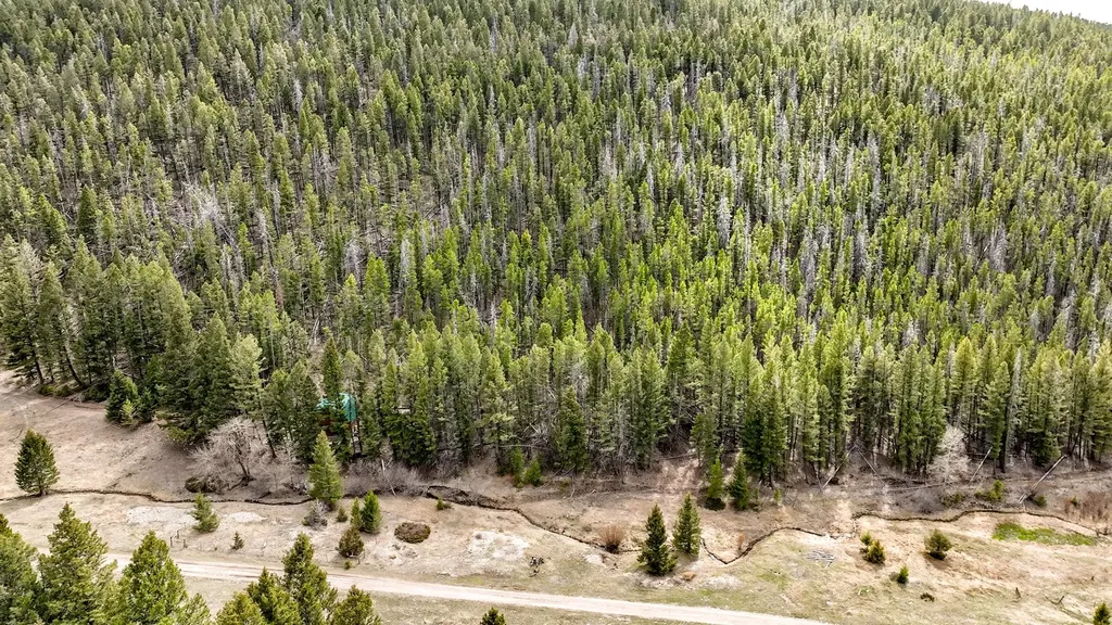 6970 Empire Creek Road Canyon Creek MT 59633