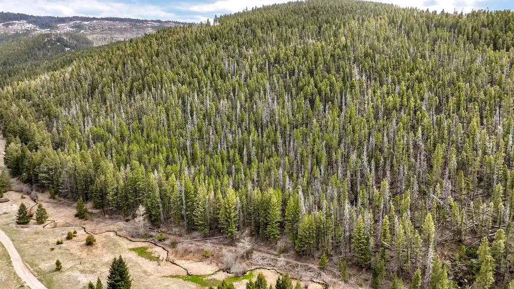6970 Empire Creek Road Canyon Creek MT 59633
