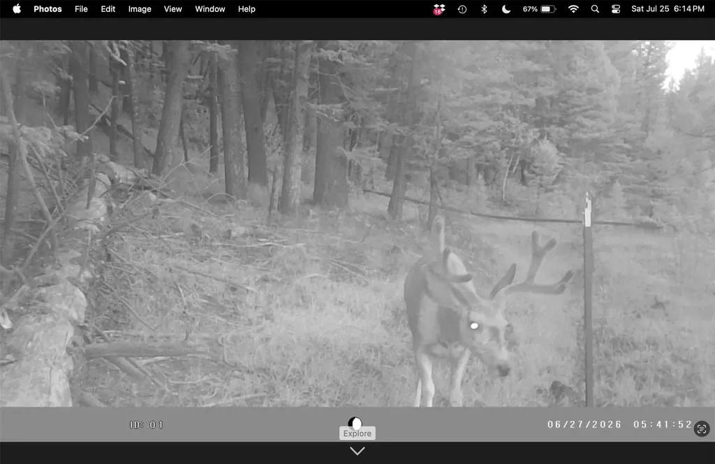 6970 Empire Creek Road Canyon Creek MT 59633