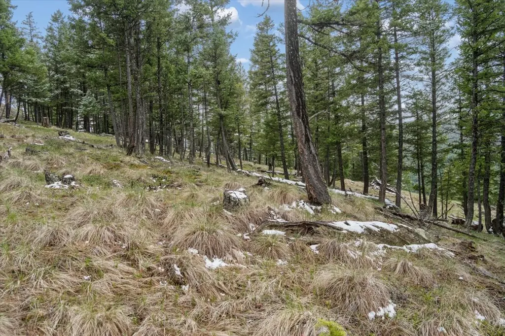 Nhn Elk Ranch Road Kila MT 59920