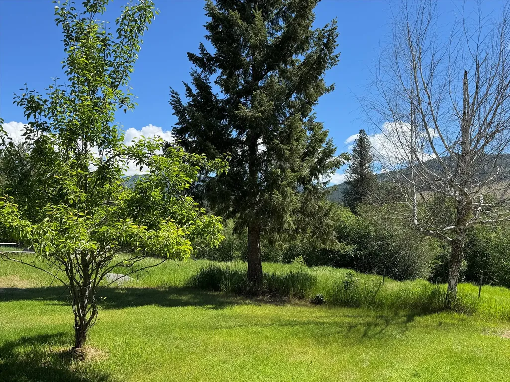 34 Baldy View Lane Plains MT 59859