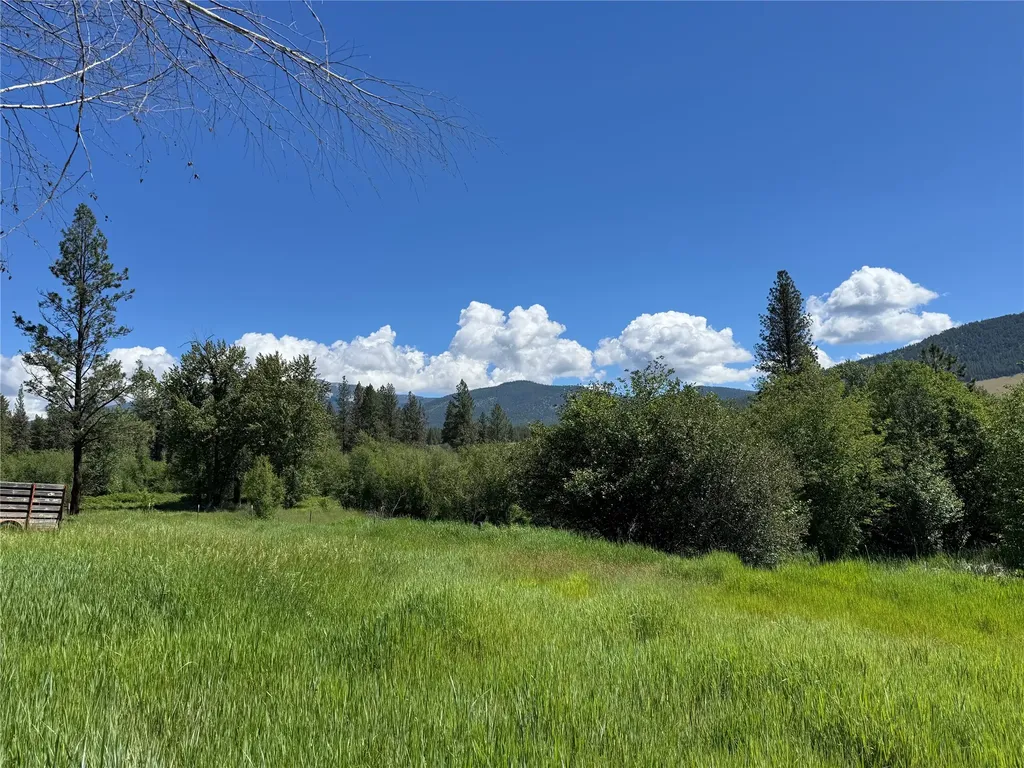 34 Baldy View Lane Plains MT 59859