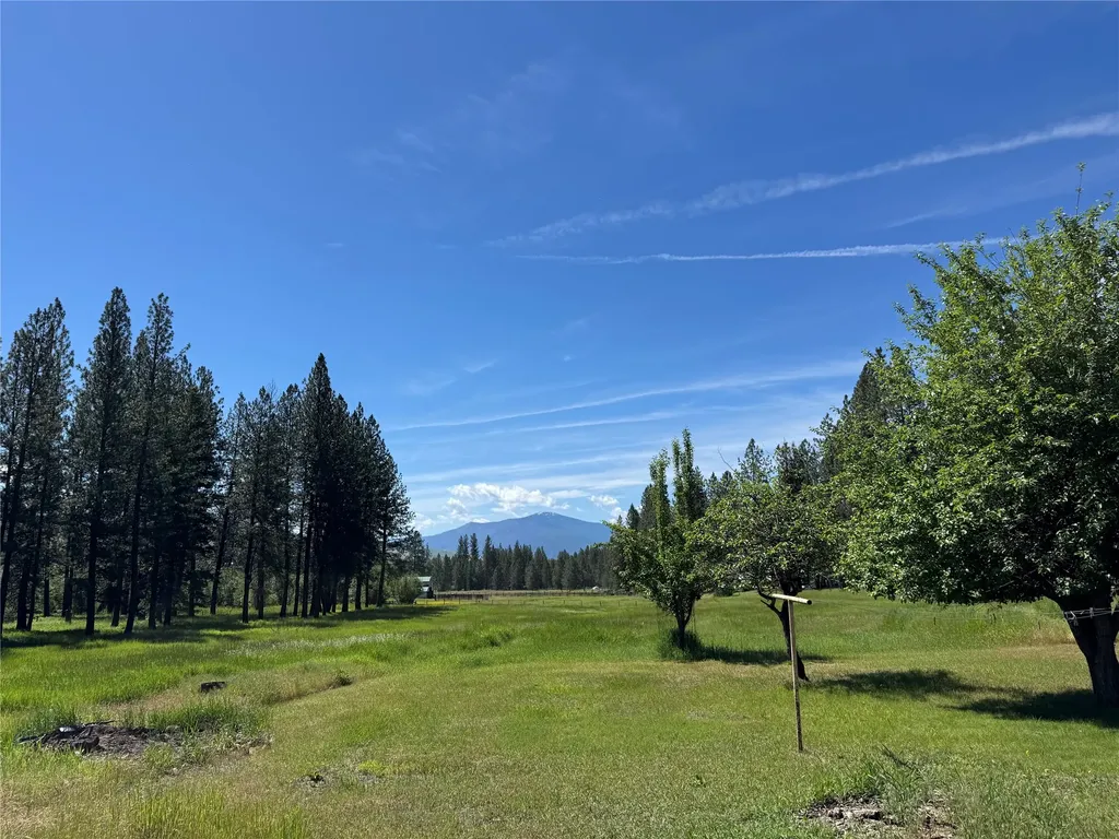 34 Baldy View Lane Plains MT 59859
