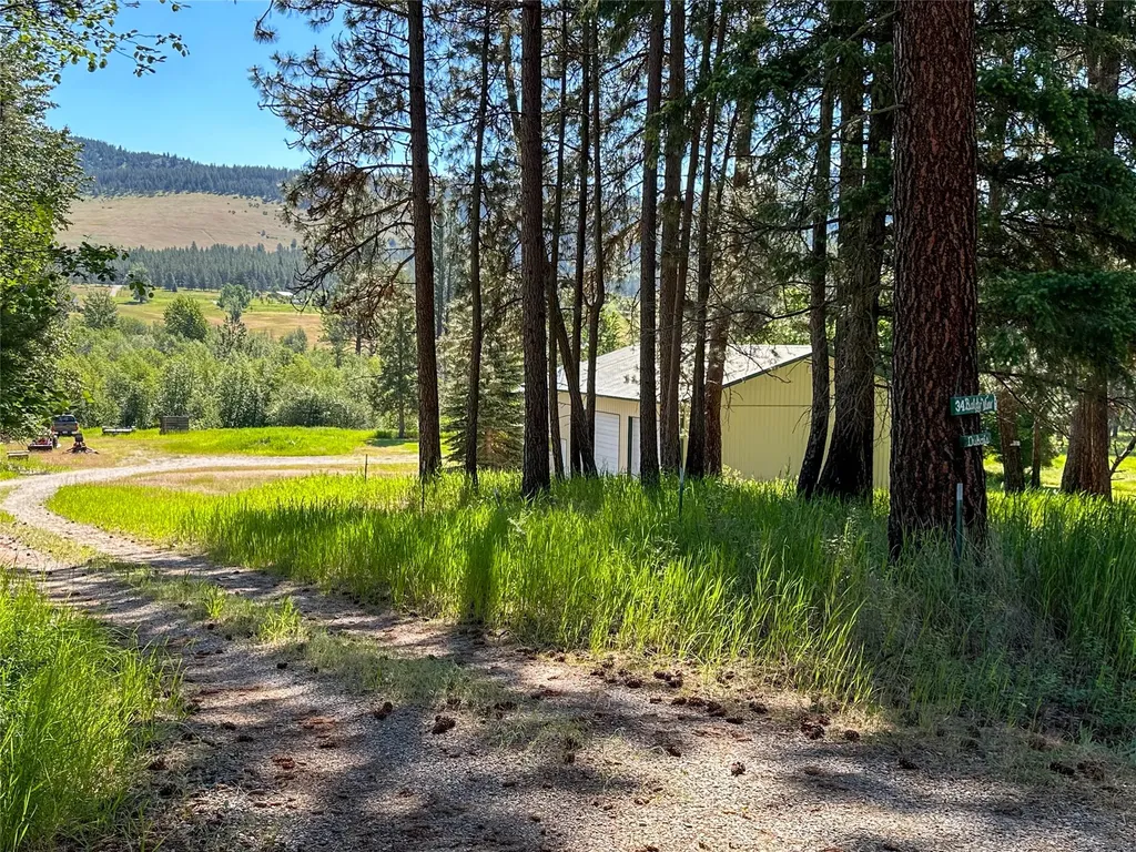 34 Baldy View Lane Plains MT 59859