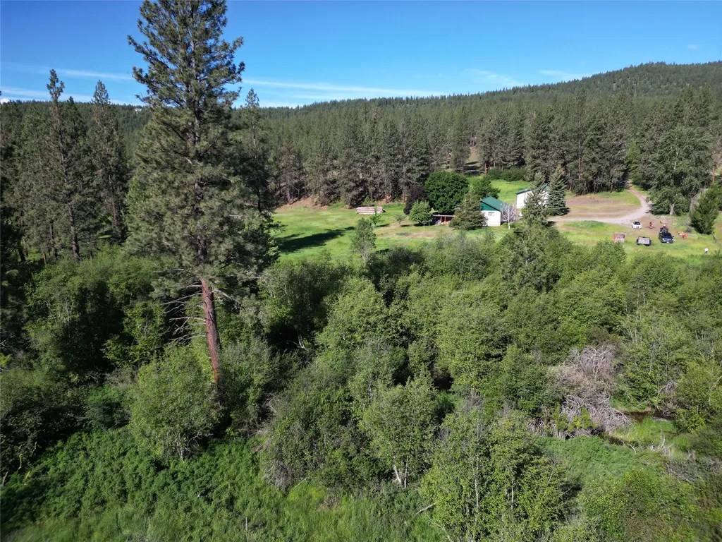 34 Baldy View Lane Plains MT 59859