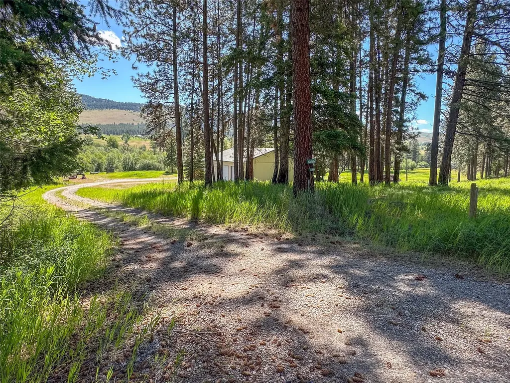 34 Baldy View Lane Plains MT 59859