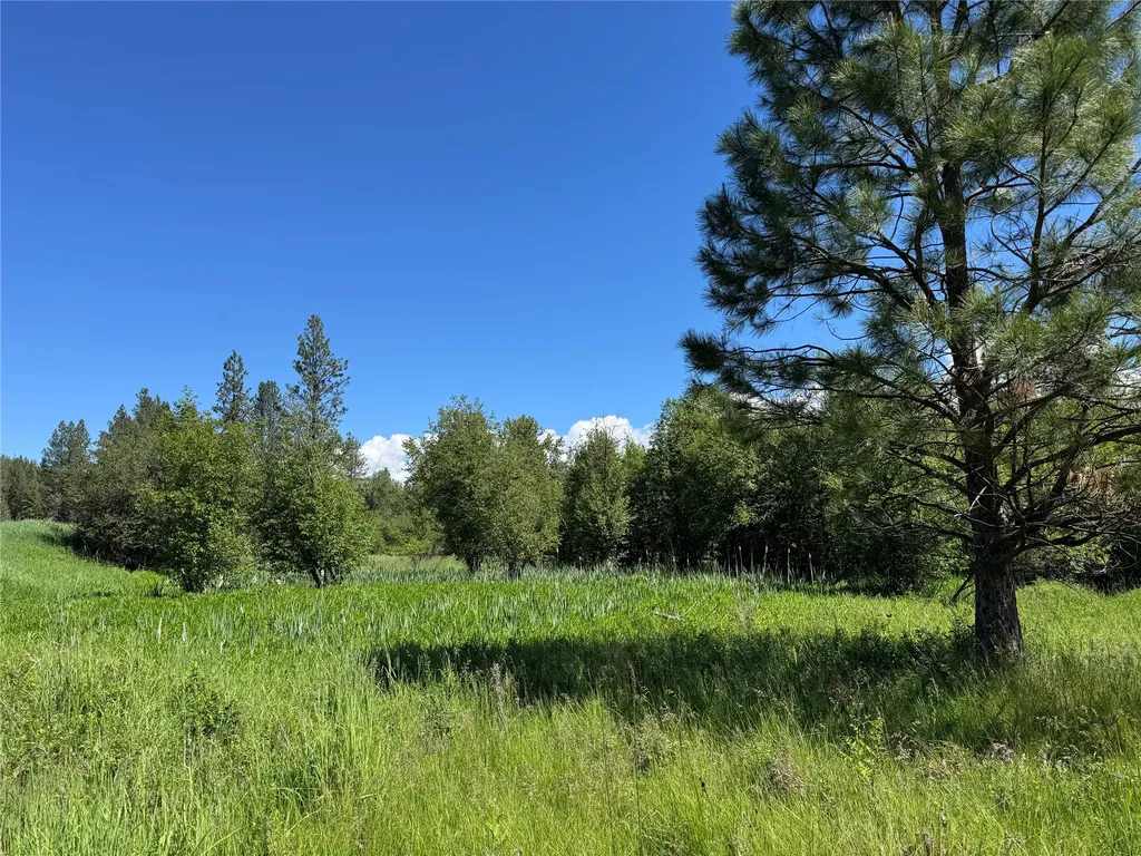 34 Baldy View Lane Plains MT 59859