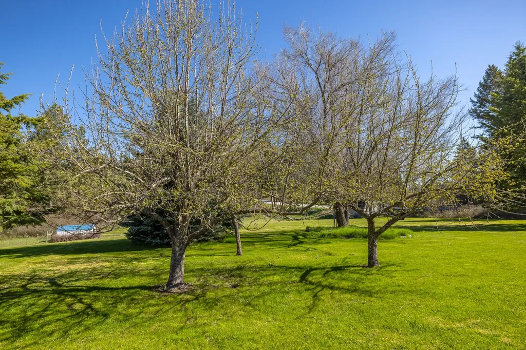 4280 Trumble Creek Road Columbia Falls MT 59912