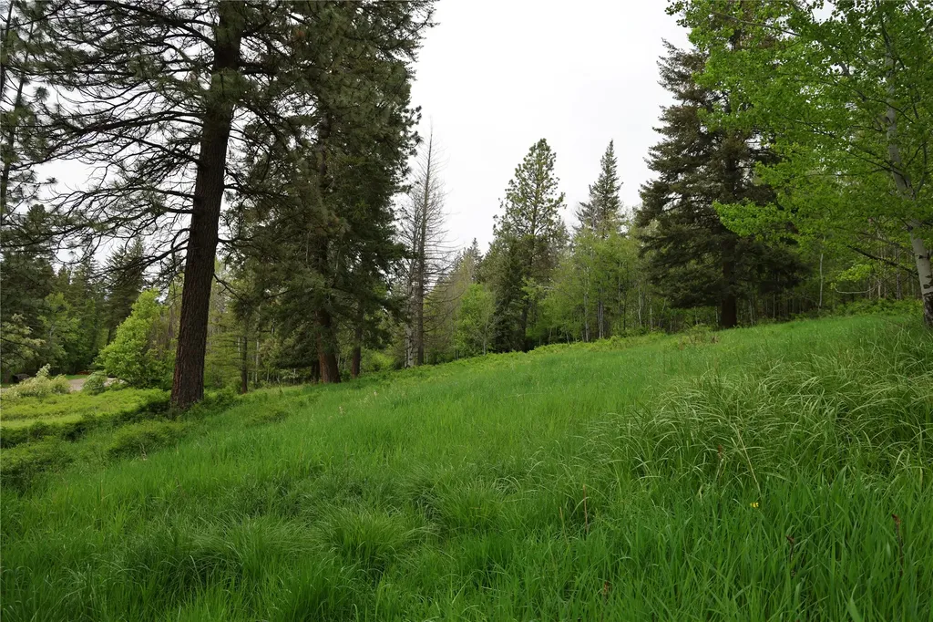 41694 Canal Road Ronan MT 59864