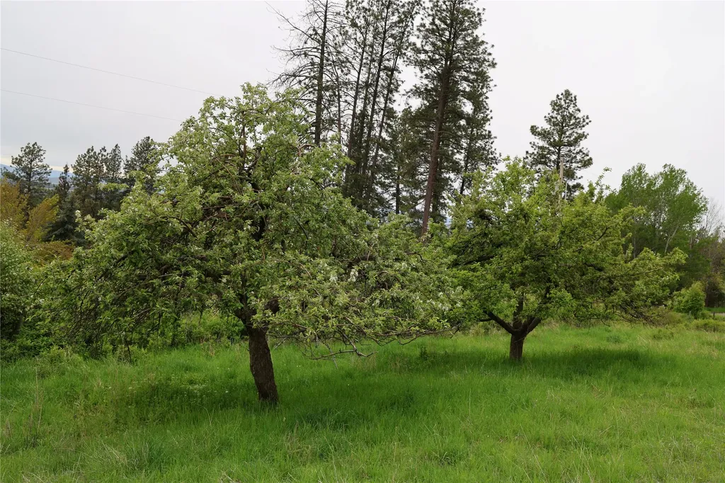 41694 Canal Road Ronan MT 59864