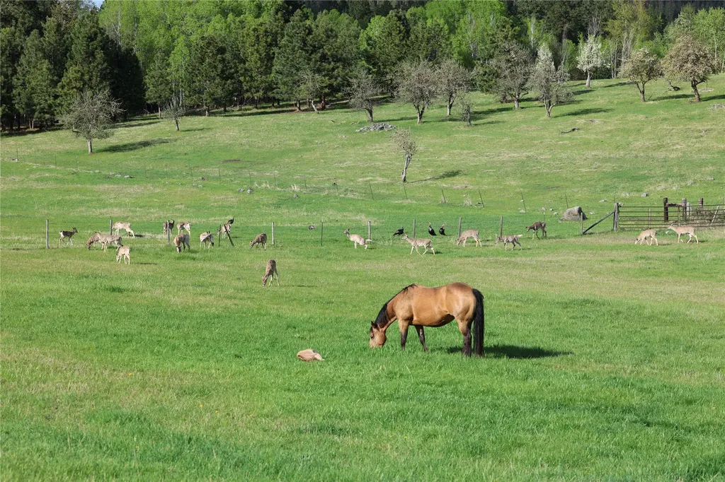 41694 Canal Road Ronan MT 59864