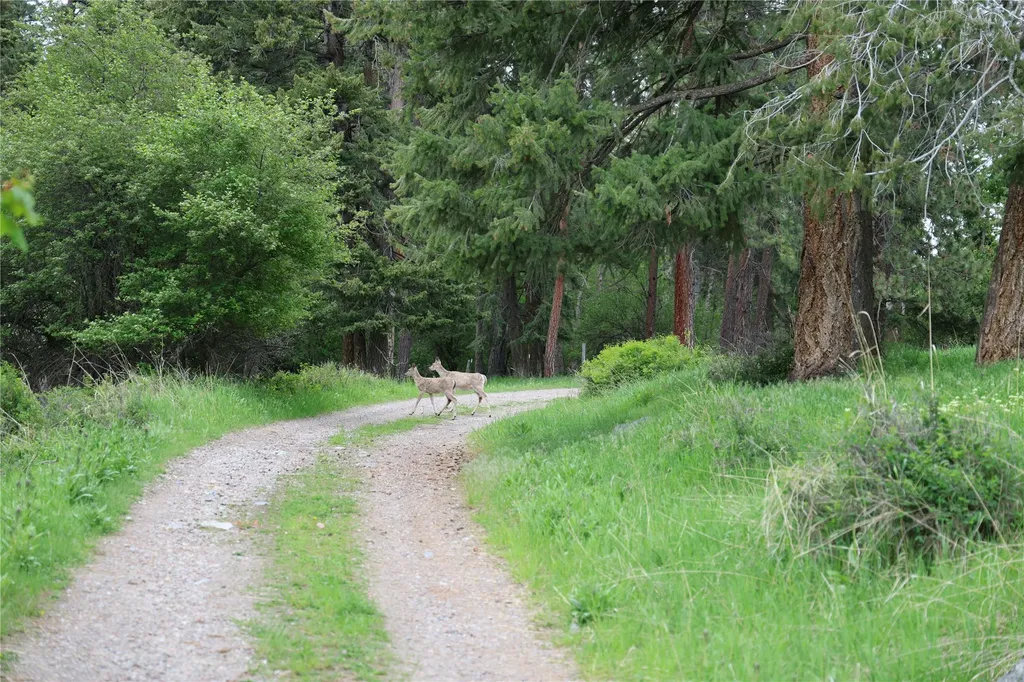 41694 Canal Road Ronan MT 59864