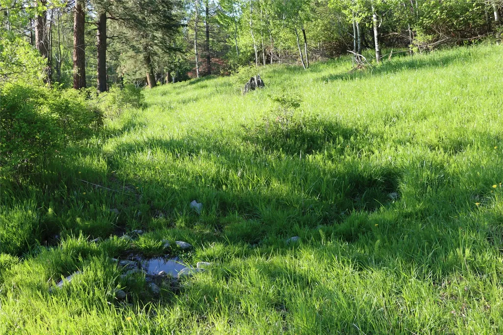 41694 Canal Road Ronan MT 59864