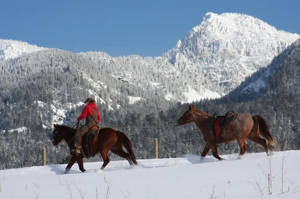 41694 Canal Road Ronan MT 59864