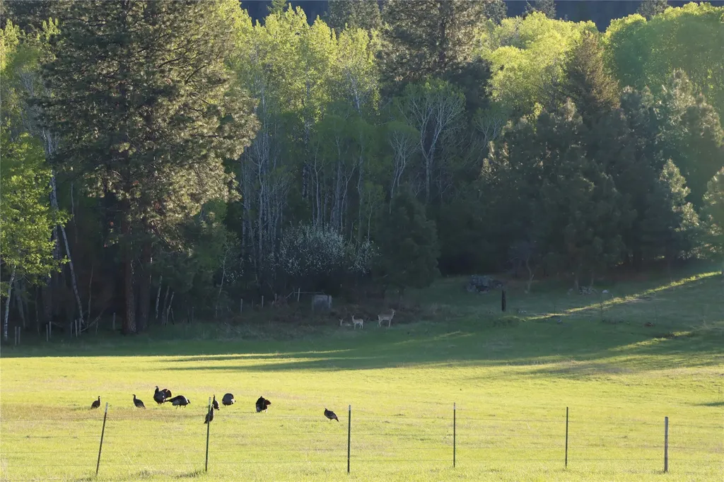 41694 Canal Road Ronan MT 59864