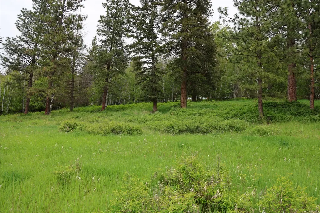 41694 Canal Road Ronan MT 59864