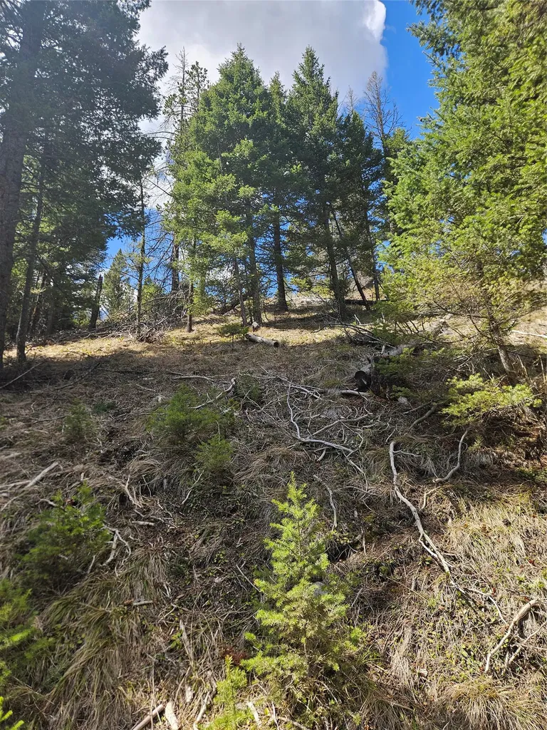 2220 Hogum Creek Road Lincoln MT 59639