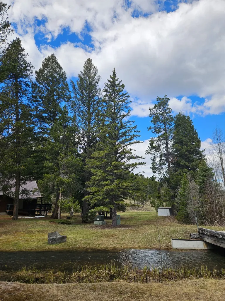 2220 Hogum Creek Road Lincoln MT 59639