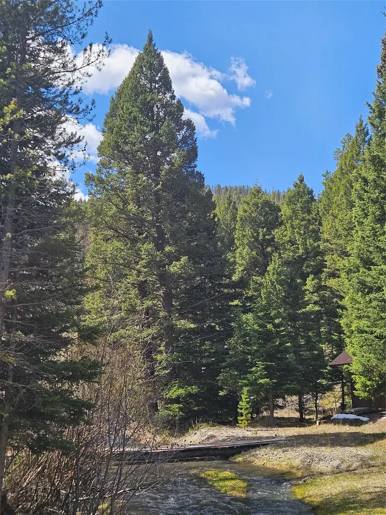 2220 Hogum Creek Road Lincoln MT 59639