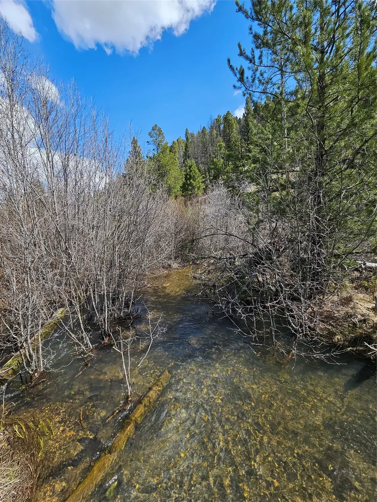 2220 Hogum Creek Road Lincoln MT 59639