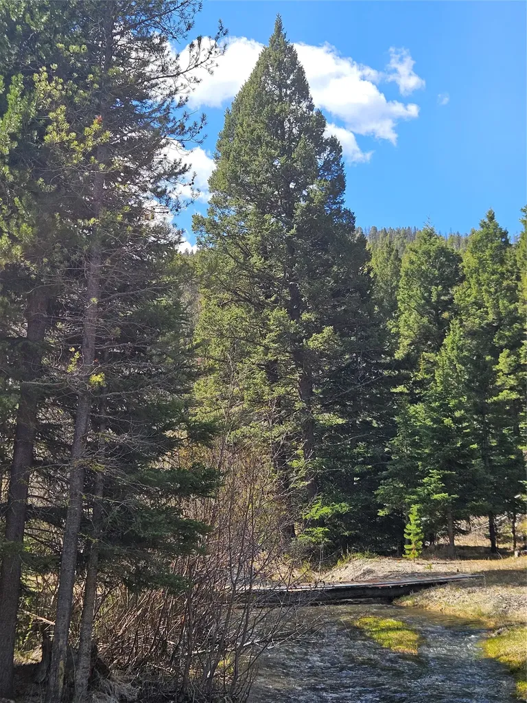 2220 Hogum Creek Road Lincoln MT 59639