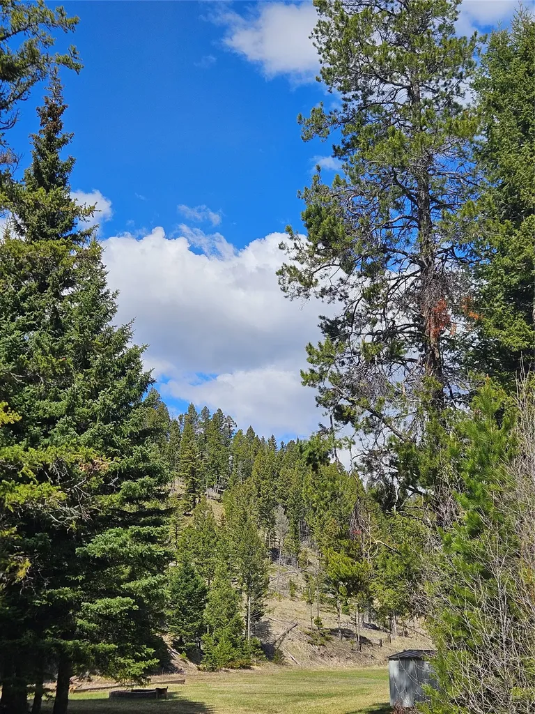 2220 Hogum Creek Road Lincoln MT 59639