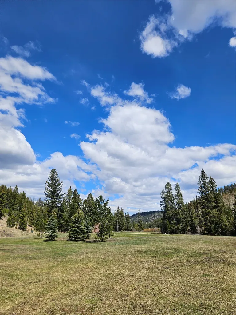2220 Hogum Creek Road Lincoln MT 59639