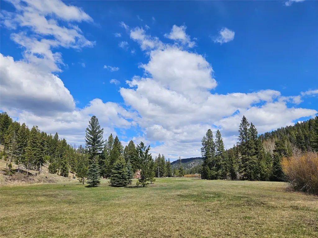 2220 Hogum Creek Road Lincoln MT 59639