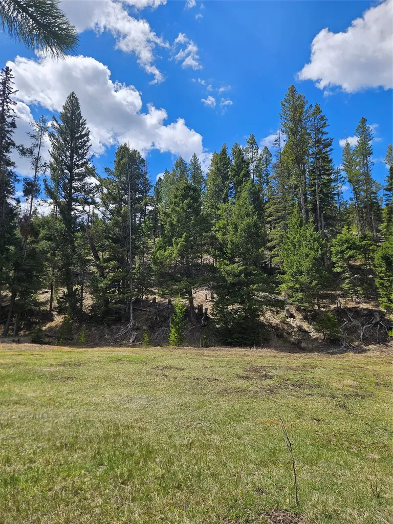 2220 Hogum Creek Road Lincoln MT 59639