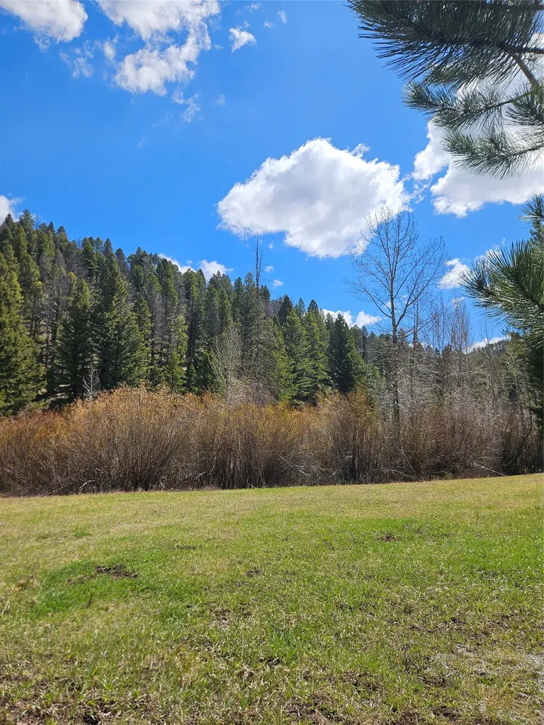 2220 Hogum Creek Road Lincoln MT 59639