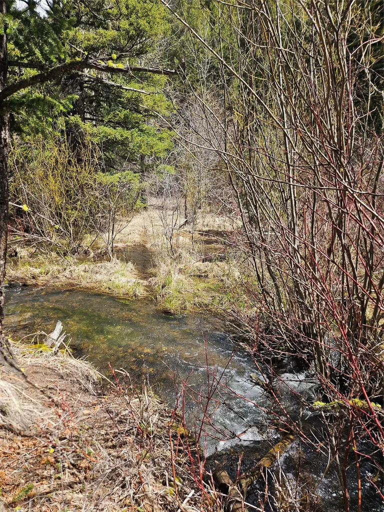 2220 Hogum Creek Road Lincoln MT 59639