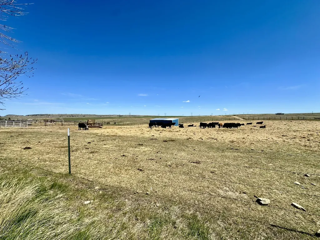 441 Mount Highway 300 Ryegate MT 59074