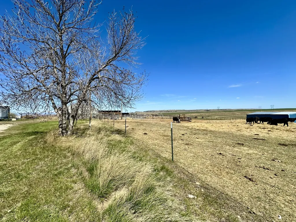 441 Mount Highway 300 Ryegate MT 59074