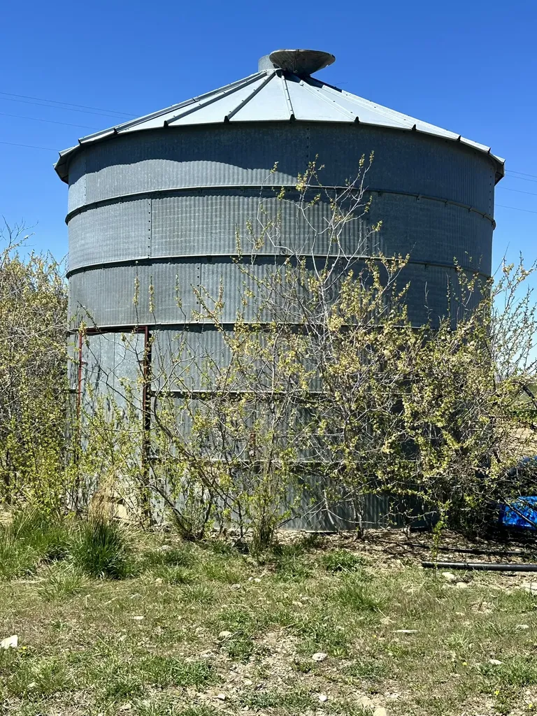 441 Mount Highway 300 Ryegate MT 59074