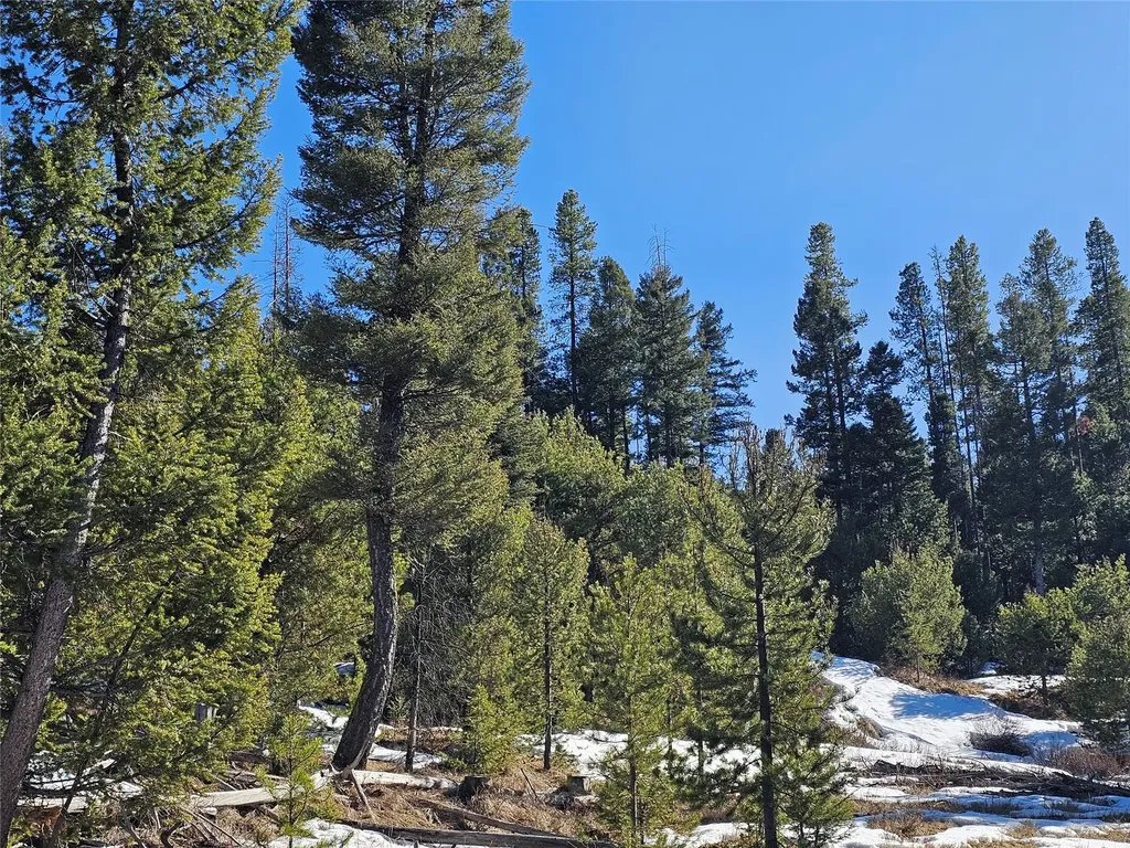 Nhn Elk Horn Road Helmville MT 59843