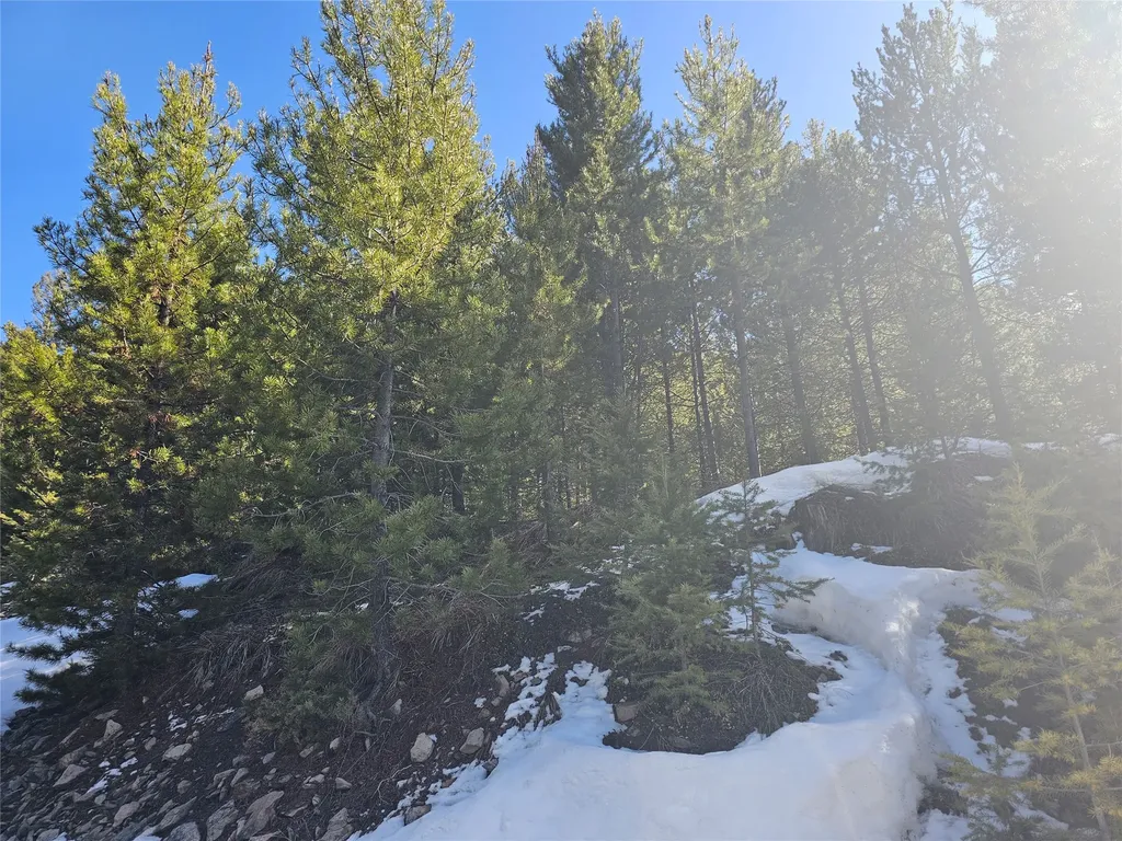 Nhn Elk Horn Road Helmville MT 59843