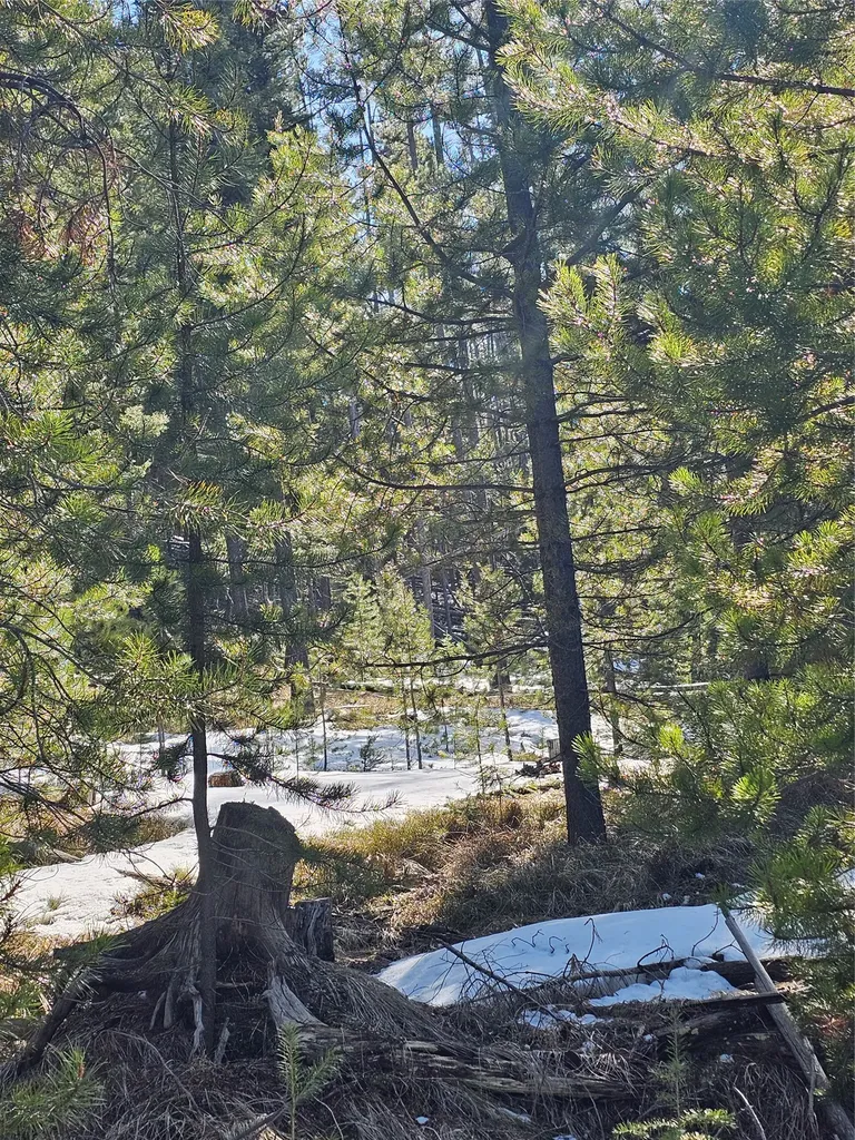 Nhn Elk Horn Road Helmville MT 59843