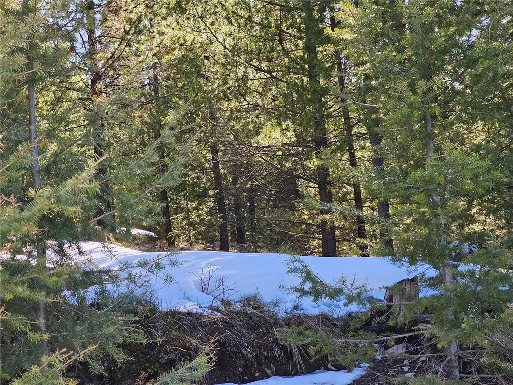 Nhn Elk Horn Road Helmville MT 59843